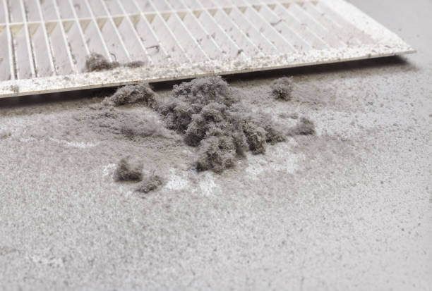 Best HVAC Duct Inspection Services  in Brinckerhoff, NY