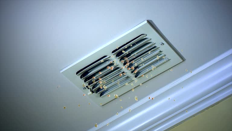 Best Best Air Duct Cleaning Company  in Brinckerhoff, NY