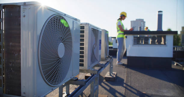 Best Air Duct Mold Removal  in Brinckerhoff, NY